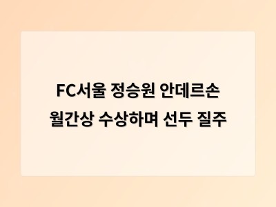 FC서울 정승원 안데르손 월간상 수상하며 선두 질주